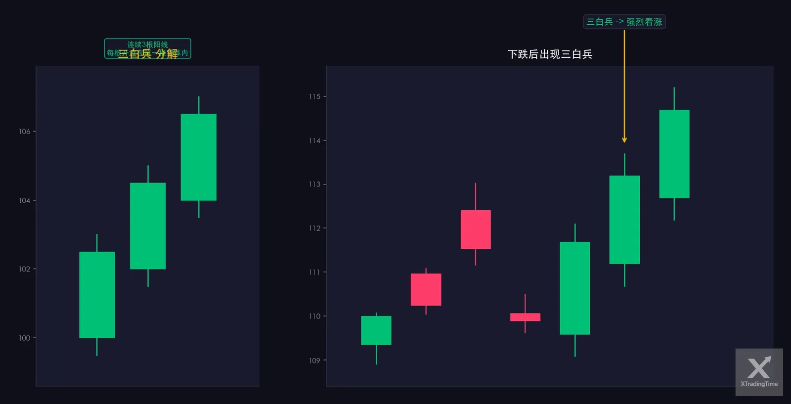 图12:三白兵——形态图解