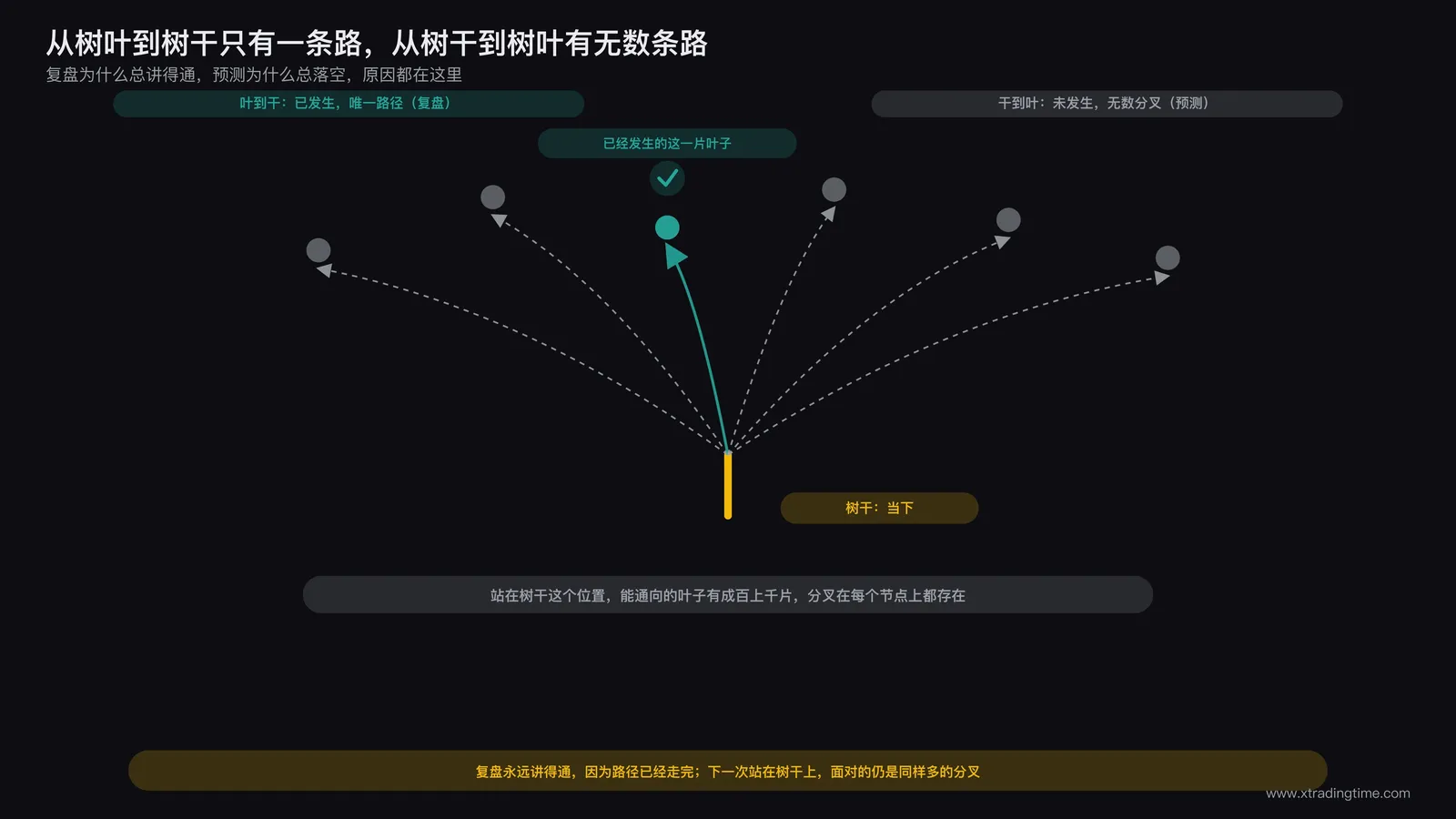 一棵树的示意图,从树叶沿唯一路径能追溯到树干,但从树干向上分叉出无数条通往不同树叶的路径