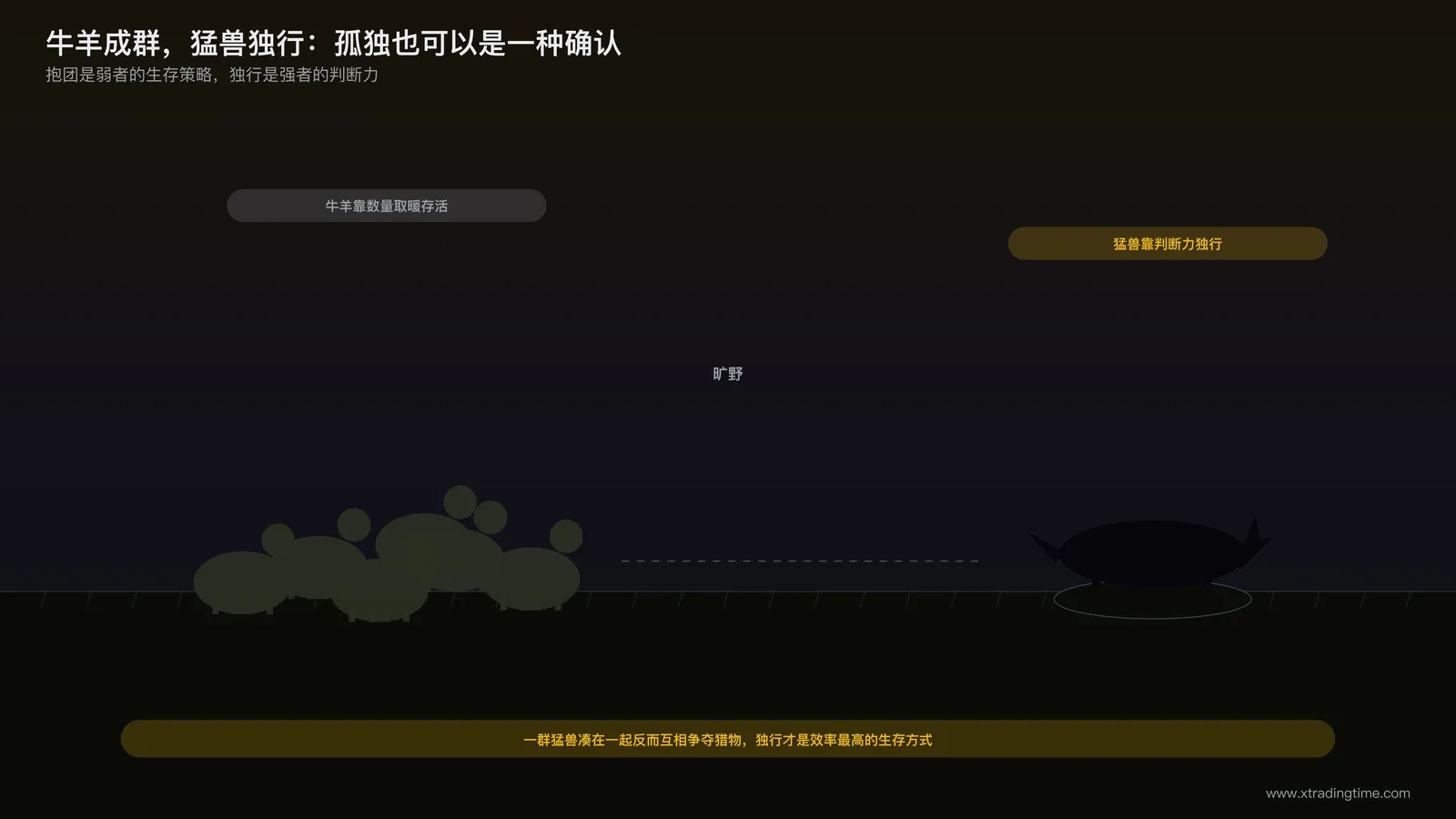 草原上一群羊和一只独行的狼