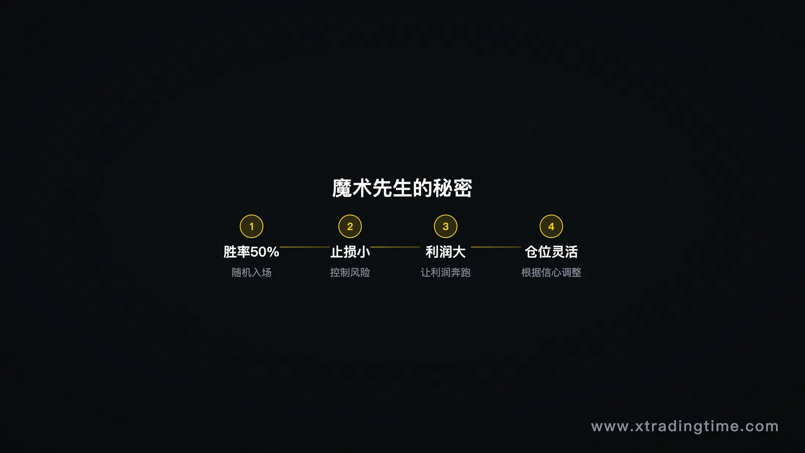 硬币先生模型