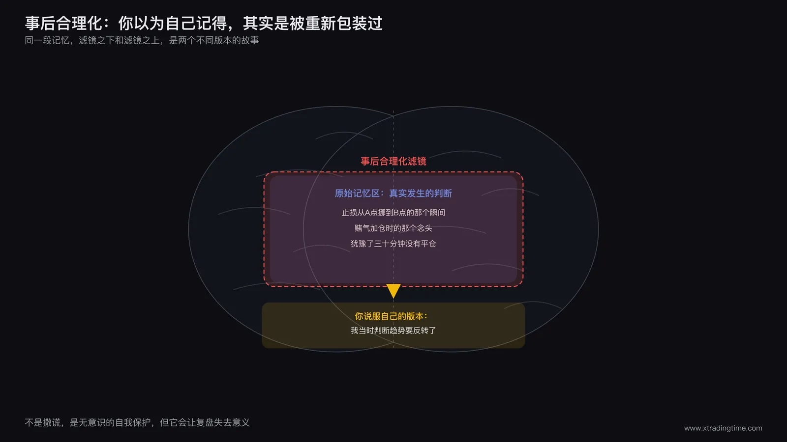 大脑内部示意图,记忆区域被一层滤镜遮盖,代表事后合理化对复盘的干扰